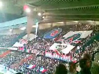 Mep tifo kob