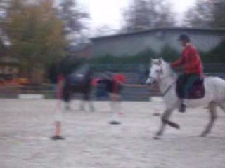 Concour Marolle 11 Novembre 2007