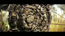 Tráiler de Ong Bak 2