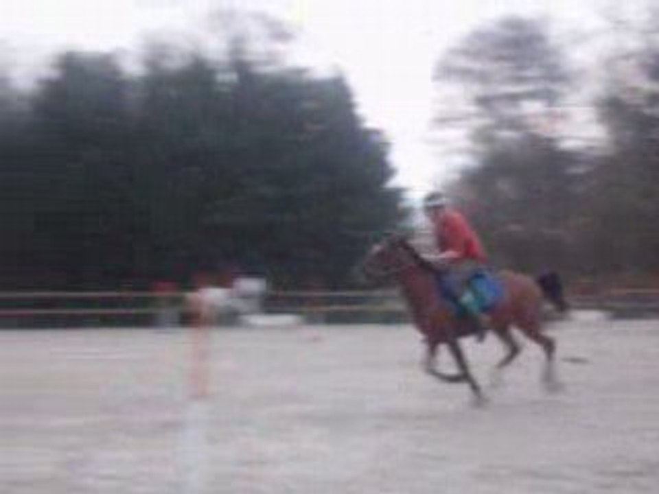 Concour Marolle 11 Novembre 2007