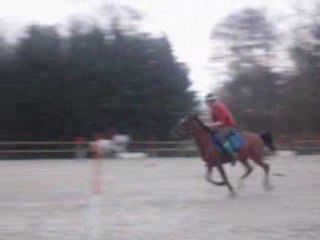 Concour Marolle 11 Novembre 2007