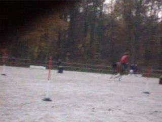 Concour Marolle 11 Novembre 2007