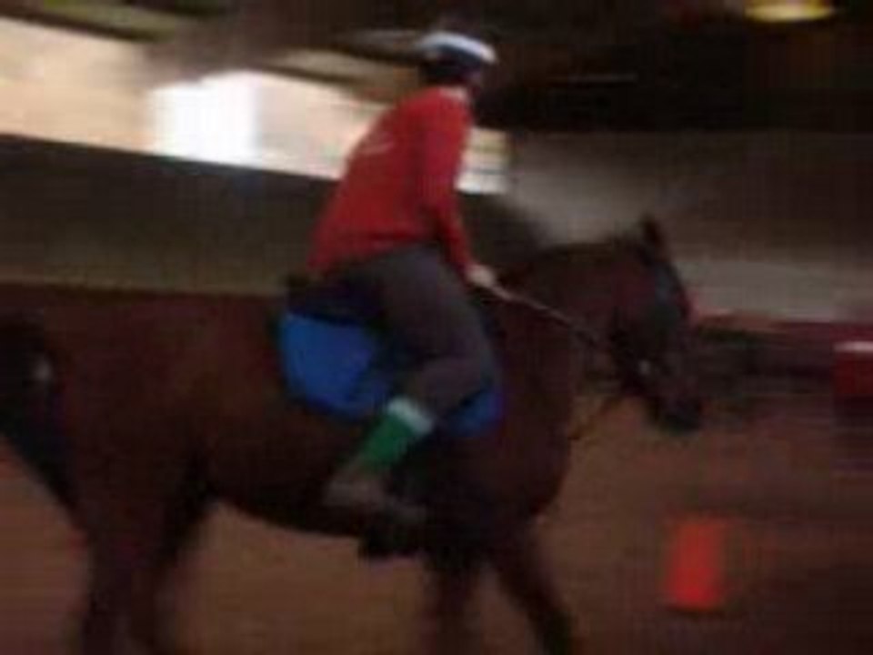 Concour Marolle 11 Novembre 2007