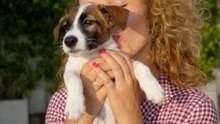 Behind the science of cute aggression: why ultra-cute moments trigger the urge to squeeze