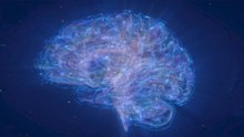 Could the Universe Be an Enlarged Brain?