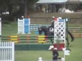 Quool du bois margot