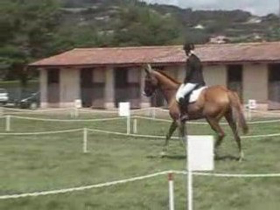 CCE CLUNY 2 août 2008 - Epreuve de dressage- AMATEUR 1