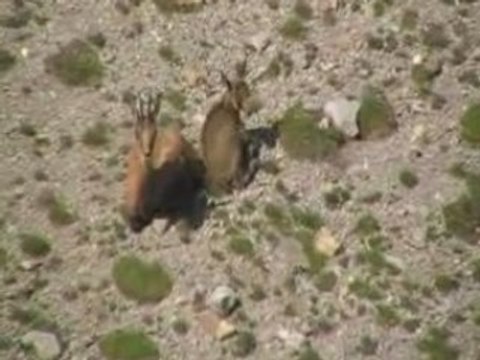 Lacs des Crêtes d’Allos (Mercantour Alpes du Sud)