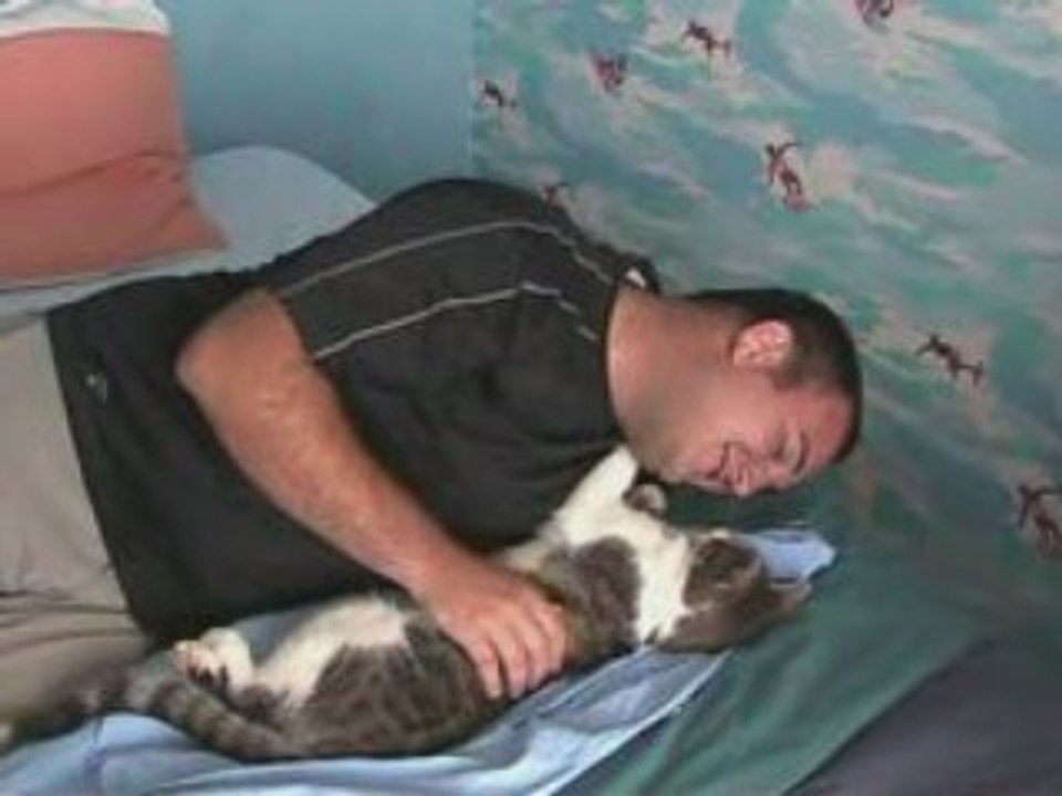 Leçon de séduction pour chat