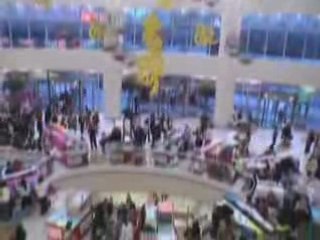 WORLD SHOW CATS CHINA SHANGHAI 2007 CFA