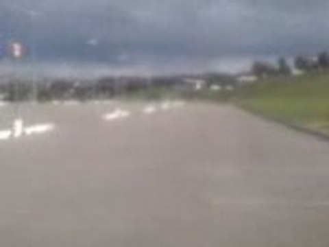 top rose yamaha dt en top rose