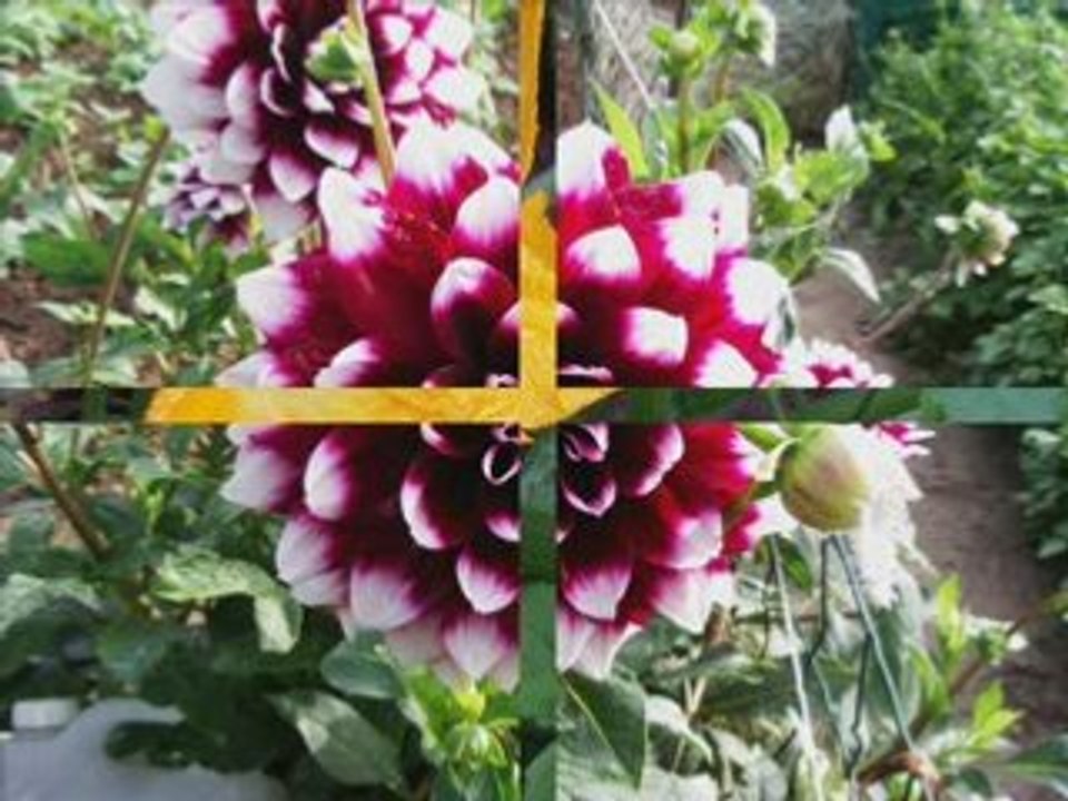 Sailly lez Lannoy Nos 4 saisons_0002