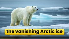 The Arctic Giants Last Stand