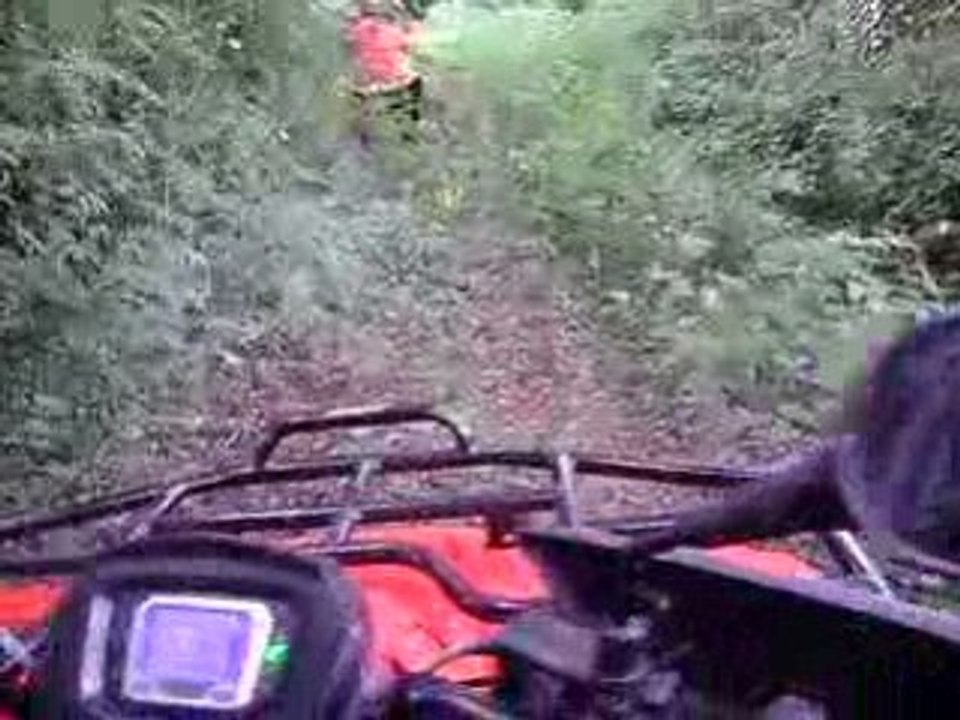 débrousaillage polaris scrambler