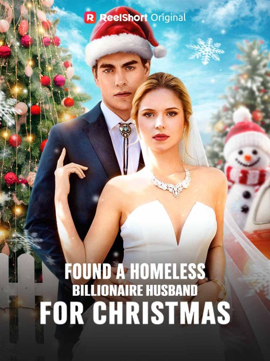 Fact Check: Is 'Found a Homeless Billionaire Husband for Christmas' Based on a True Story?