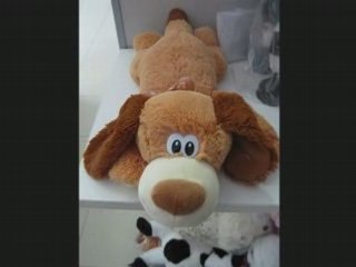 Peluche automate chien crazy