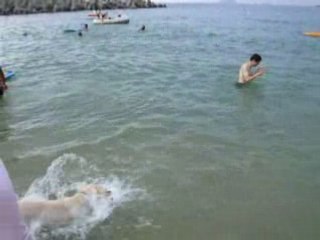 20080809-基隆外木山大武崙海灘-1.搶飛盤