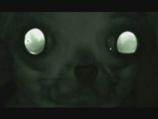 Nestor le pingouin - Dadada (Mass Mix)