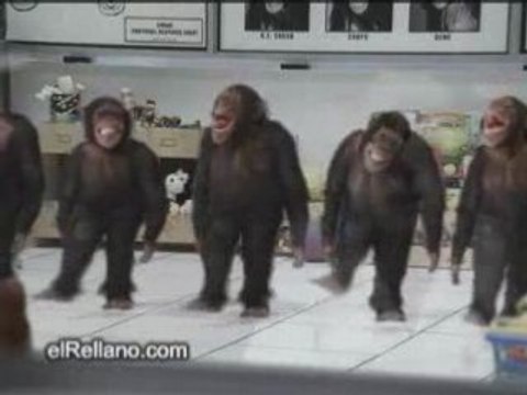 Monos-Bailarines