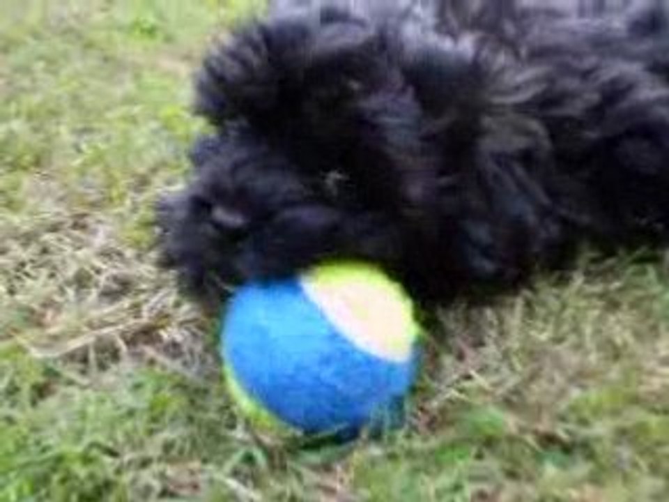 Ben 13-8-08