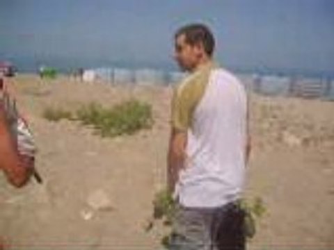 Alerte a caroubier(azeffoun) 3 tizi ouzou kabylie algerie