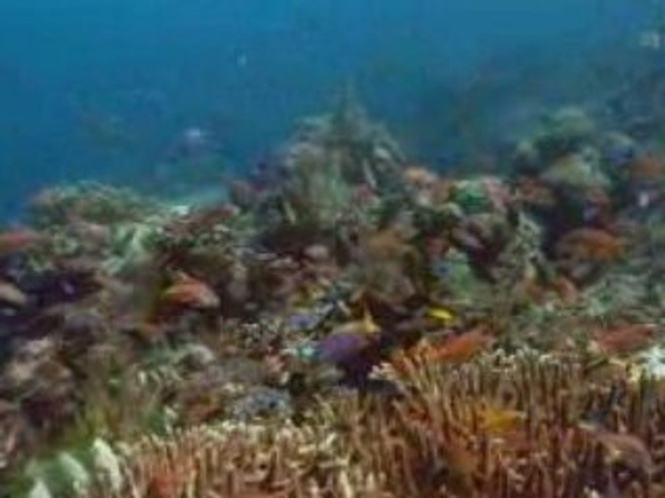 Doc ARTE mers et oceans