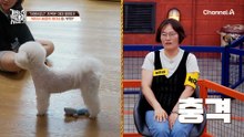 엄마 보호자와 닮은 엄마 개 '자몽'의 통제력?