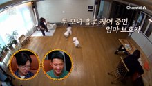 "6시에 일어나서 산책했습니까?" 딸 보호자의 숙제 검사 시작