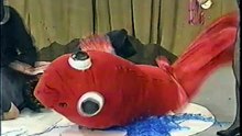 39回7番 金魚鉢