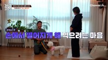 문밖 소리에 바로 짖는다면? 강 훈련사가 알려주는 일타 훈련법