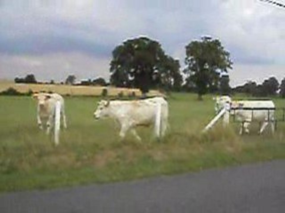 Ballade à la campagne