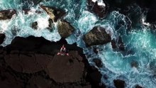 Interview with a shark | movie | 2025 | Official Trailer