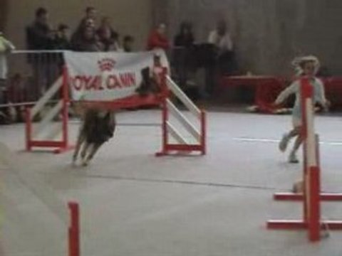 Tervueren_Manche 2 Damparis