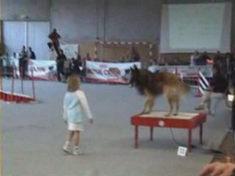 Tervueren_Agility Equipe Damparis