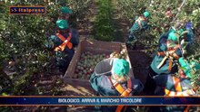 Agrifood Magazine - 30/9/2026