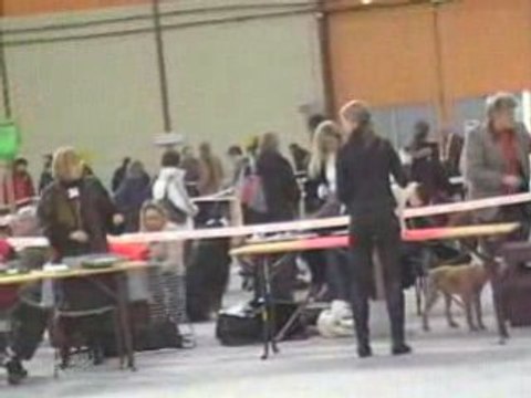 02 02 2008 expo de Chalons en Champagne COOKIE