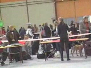 02 02 2008 expo de Chalons en Champagne COOKIE