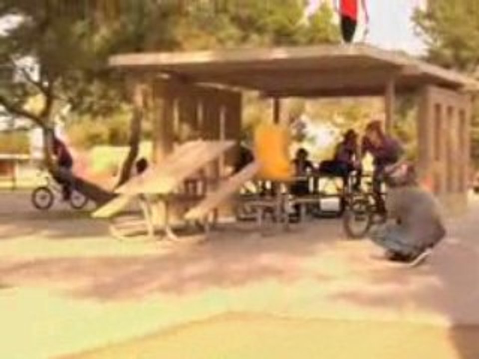 Chase hawk ody web vid