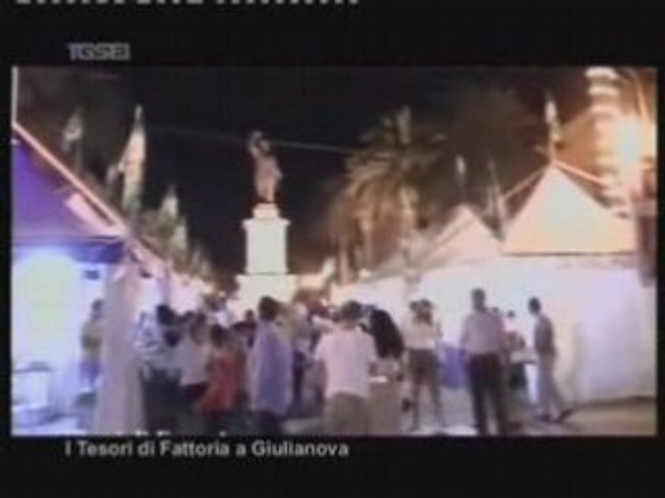 Tesori di Fattoria  - TG TV sei sera 25 luglio 2008