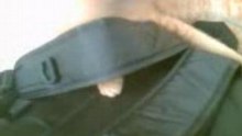 Kitty playing with bag