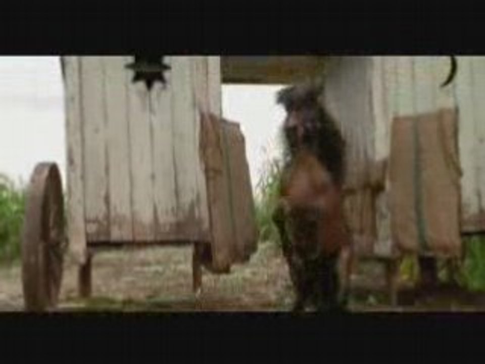 vidéo Chevaux