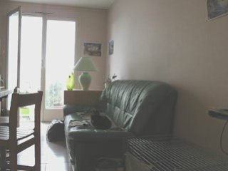 Cactus pète un cable