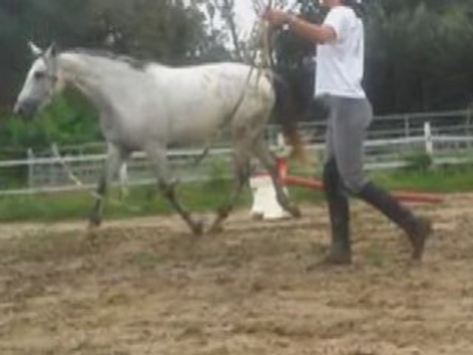 Lydie travail a pied