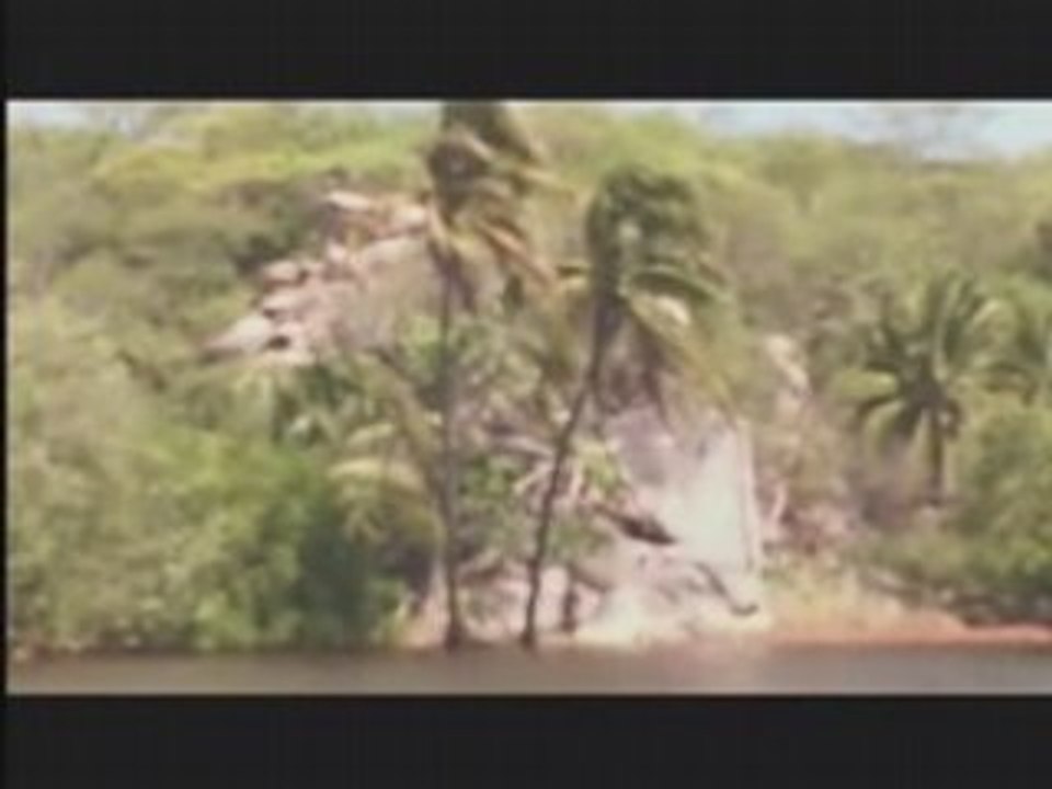 absolute mexico Surf Trailer