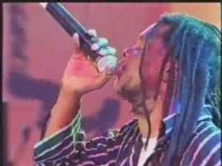 Papa Winnie - Rain and Tears