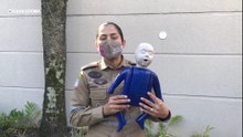 Como ajudar uma criança engasgada?