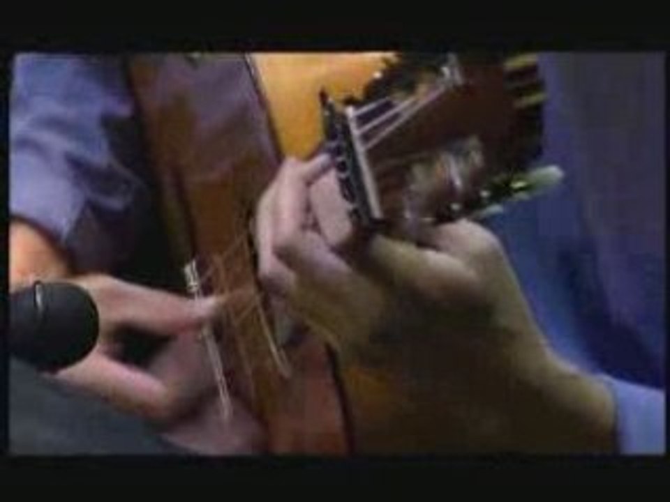 Vicente amigo flamenco