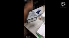 R$ 30 mil em Haxixe foram apreendidos