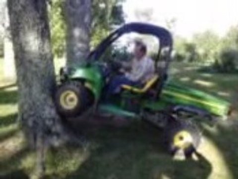 Gator qui grimpe aux arbres impréssionant