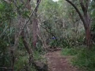 Mini Freeride Au filaos